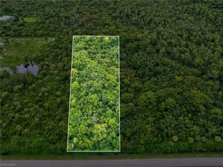 SHADY HOLLOW BLVD E, Naples, FL 34120