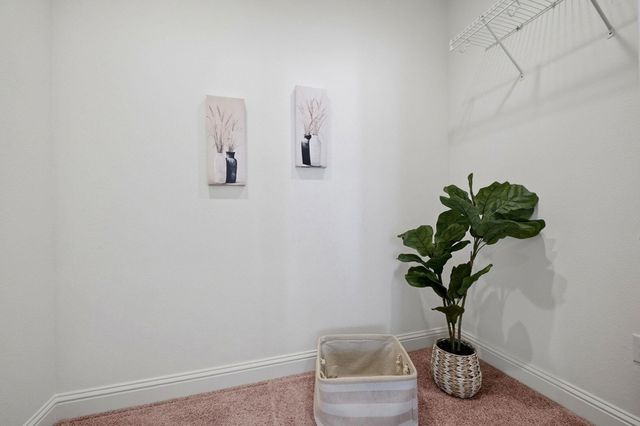 287 287 Wild Rose Way, Milpitas, CA 95035