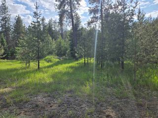 26XX Sand Canyon Lot 3 Rd, Chewelah, WA 99109