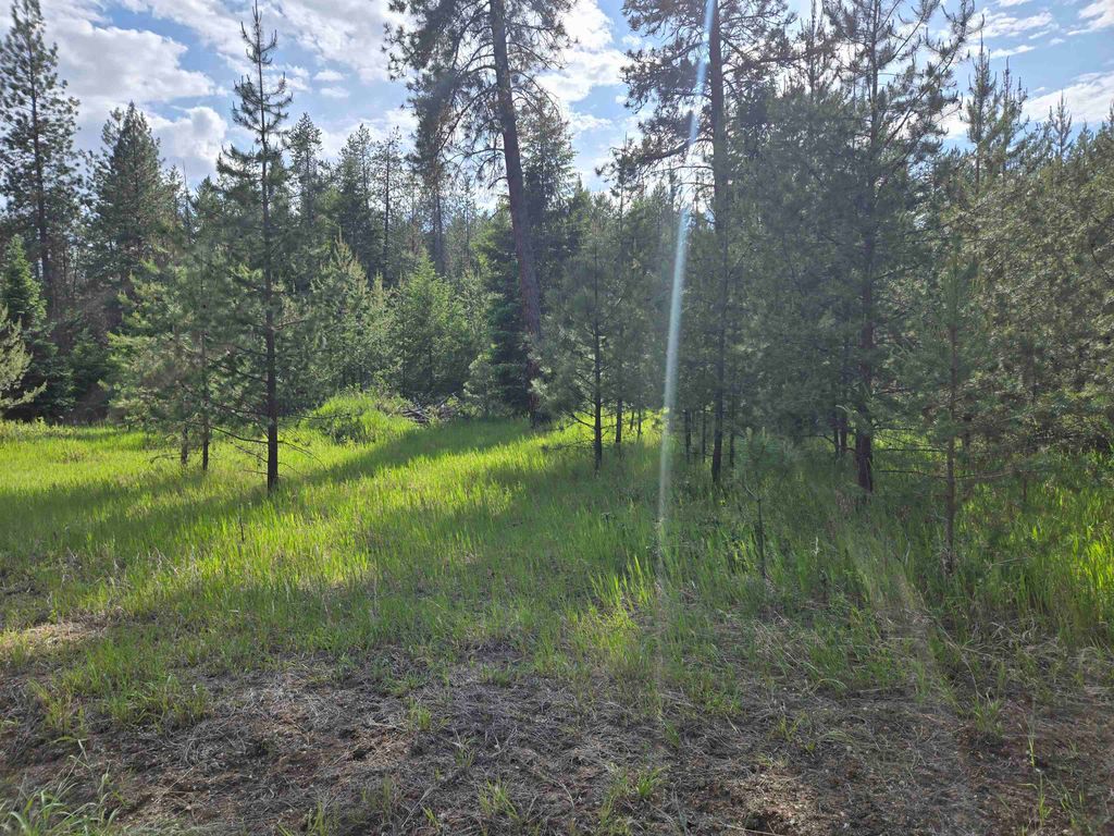 26XX Sand Canyon Lot 3 Rd, Chewelah, WA 99109