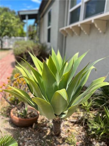 14546 Martha, Sherman Oaks, CA 91411