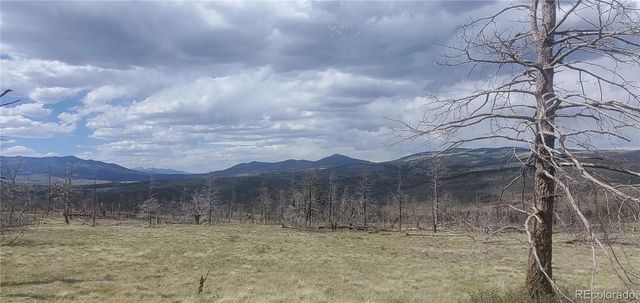 Lot 321 Hagin Lane, Fort Garland, CO 81133