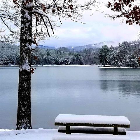Lot 7 Mill Ridge Road, Hiawassee, GA 30546
