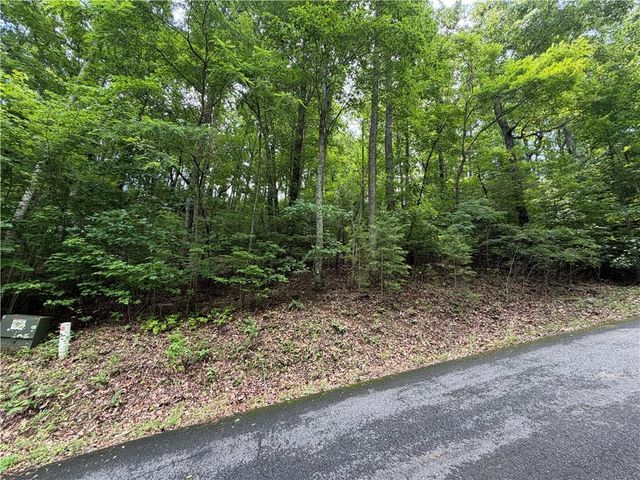 Lot 7 Mill Ridge Road, Hiawassee, GA 30546