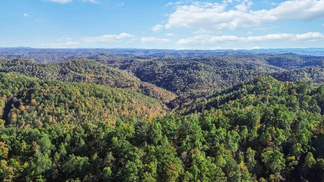 184 Ancient Springs Drive, Hinkle, KY 40953