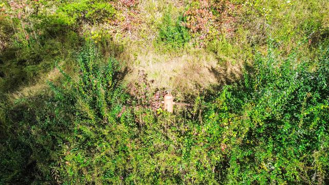 184 Ancient Springs Drive, Hinkle, KY 40953