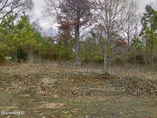 Lot 16 Strickland Farms, Byhalia, MS 38611