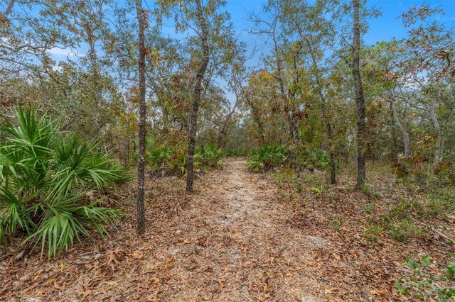 14235 HURRICANE DRIVE, Weeki Wachee, FL 34614