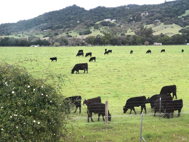 1508 Gladstone Way, Rohnert Park, CA 94928