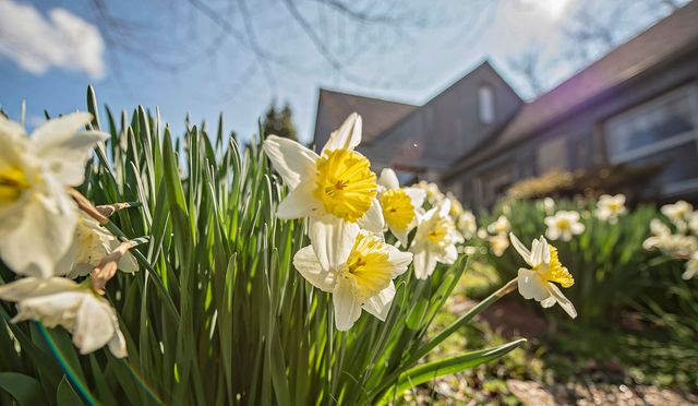 1100 E University Street, Springfield, MO 65807