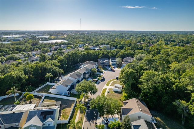 9004 GRAND BAYOU COURT, Tampa, FL 33635