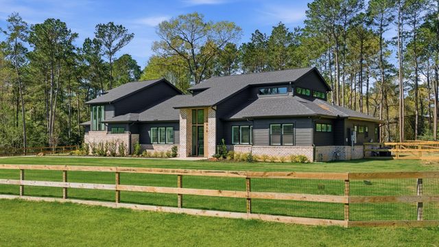 19918 Live Oak Bend, Magnolia, TX 77355