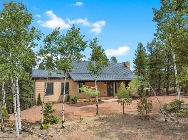 15 Juniper Circle, Florissant, CO 80816