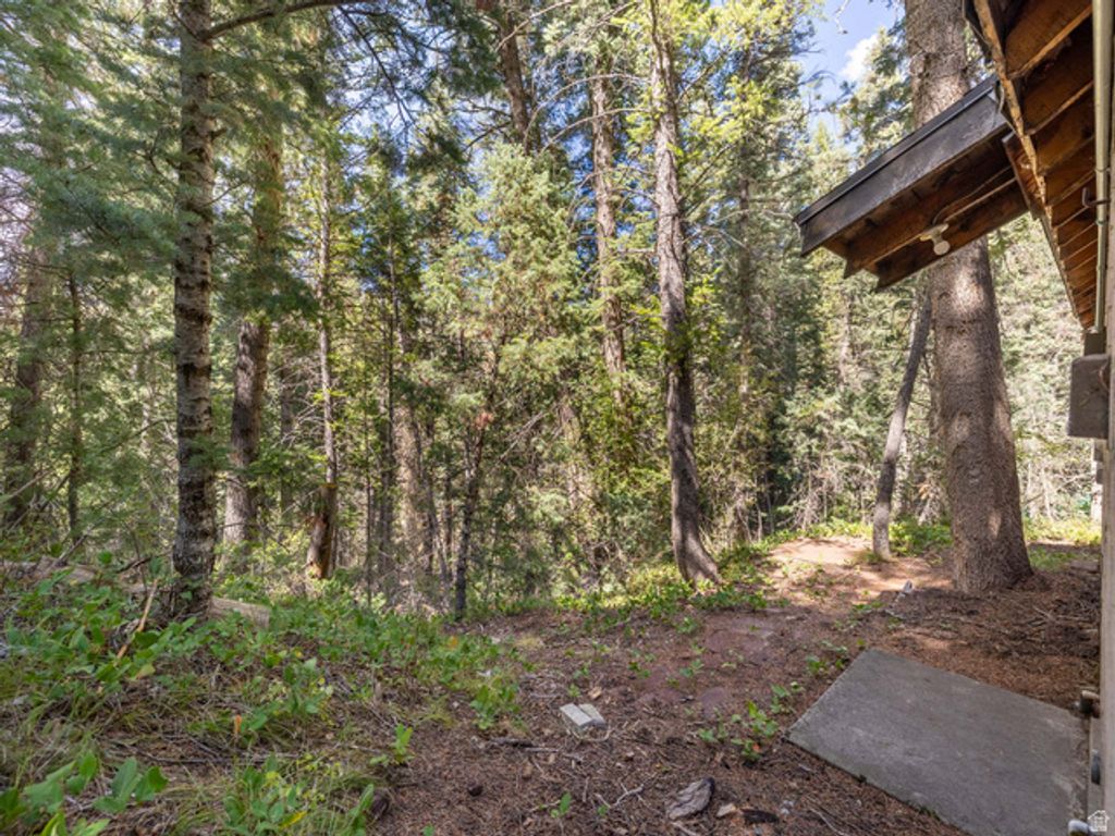 10 E TIBBLE FRK #10, American Fork, UT 84003 — photo 3