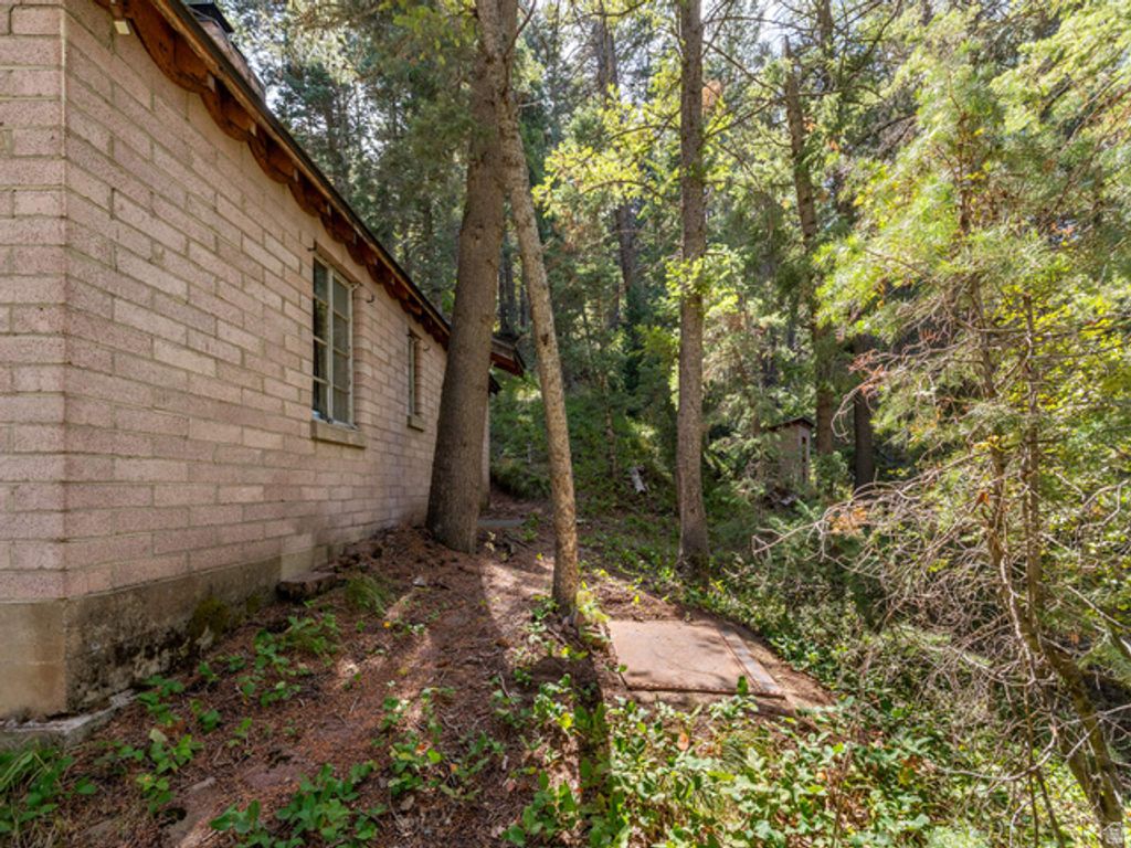 10 E TIBBLE FRK #10, American Fork, UT 84003 — photo 4