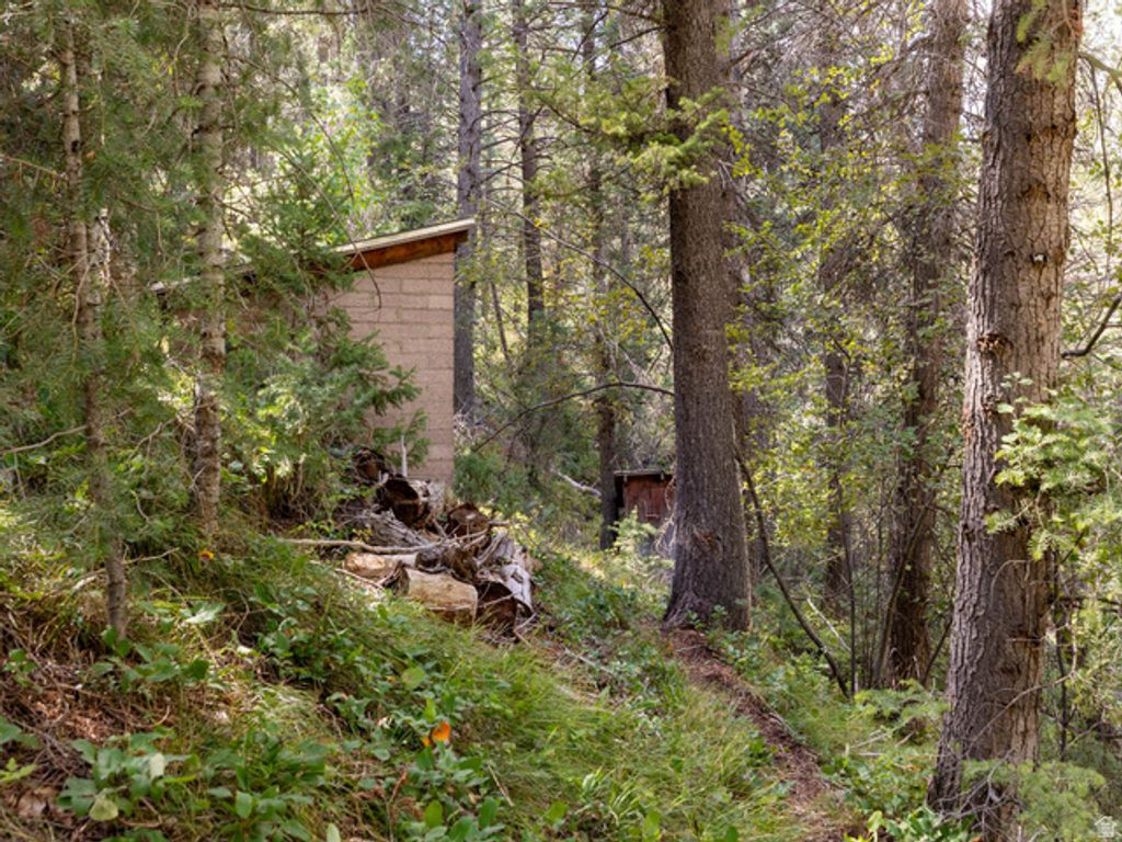 10 E TIBBLE FRK #10, American Fork, UT 84003 — photo 5