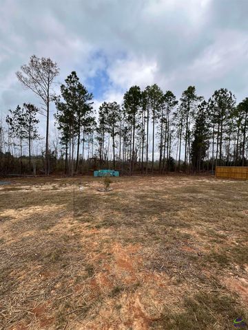 150 Long Pines Circle, East Dublin, GA 31027