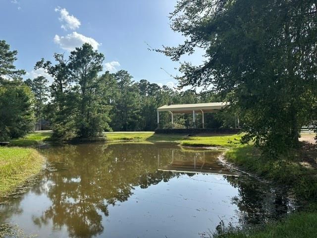 25111 Alamoway, Magnolia, TX 77355