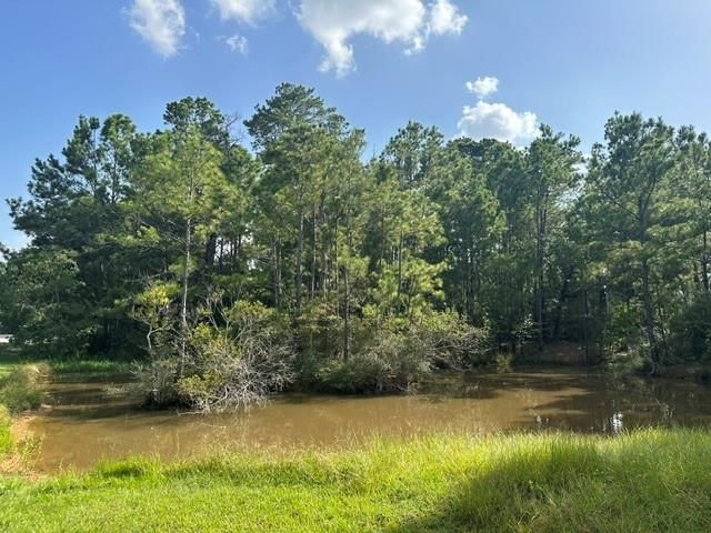 25111 Alamoway, Magnolia, TX 77355