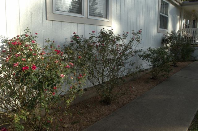 25111 Alamoway, Magnolia, TX 77355