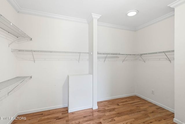 218 Pebble Court, Lenoir City, TN 37772