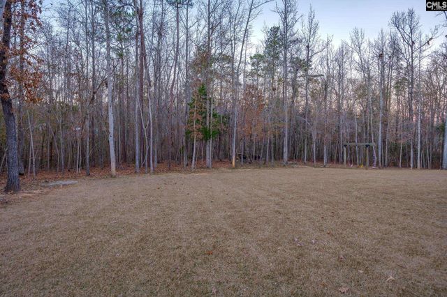 341 Rocky Meadow Drive, Gilbert, SC 29054