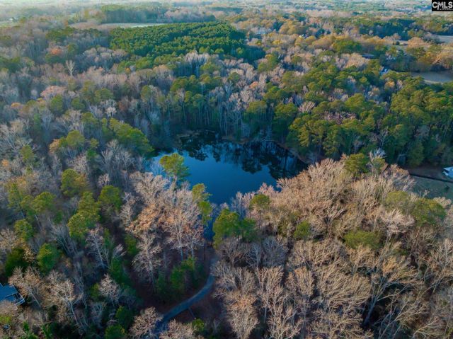 341 Rocky Meadow Drive, Gilbert, SC 29054