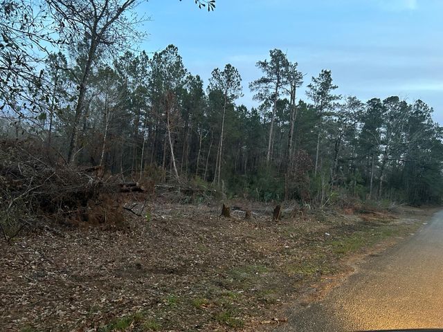 5850 Alfred Oaks Drive Drive, Beaumont, TX 77713