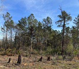 5850 Alfred Oaks Drive Drive, Beaumont, TX 77713