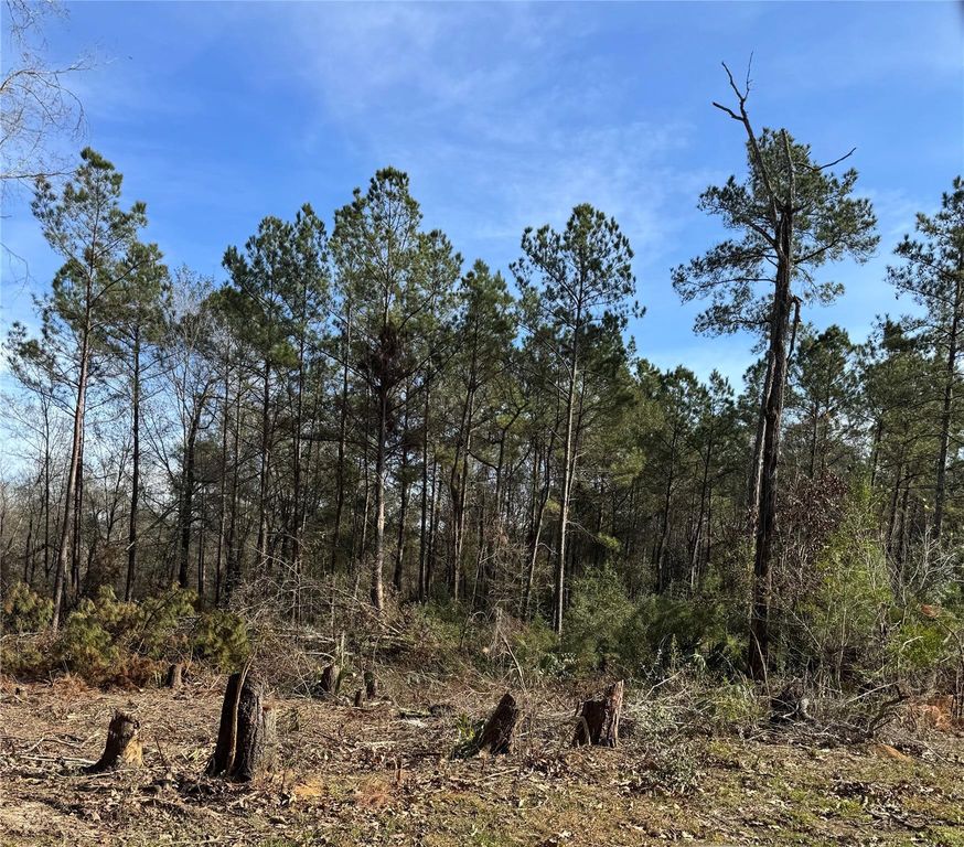 5850 Alfred Oaks Drive Drive, Beaumont, TX 77713