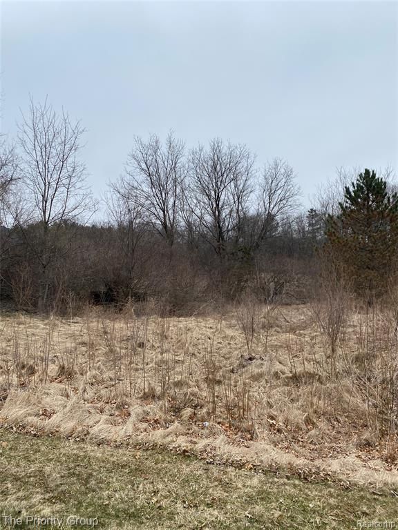 160 Great Pines Drive, Oxford, MI 48371