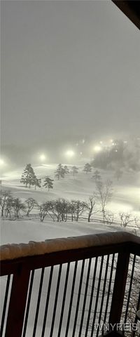 6447 Holiday Valley Road 501503-1, Ellicottville, NY 14731