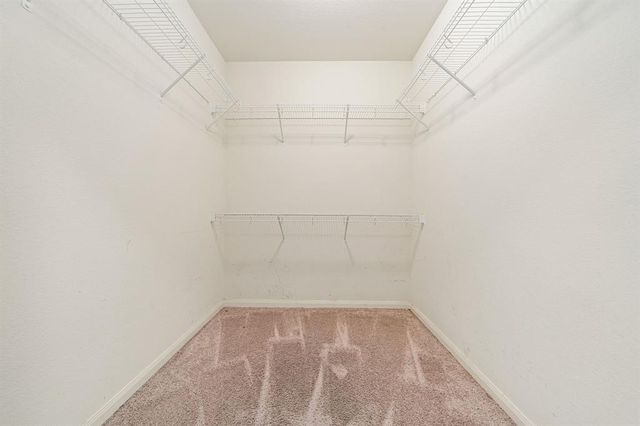 1331 Diamond Drape Drive, Rosharon, TX 77583