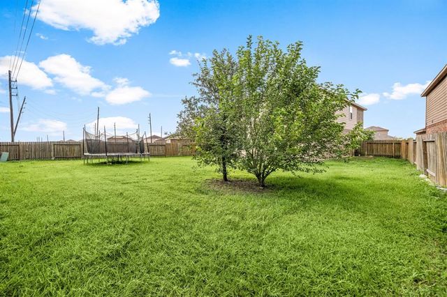 1331 Diamond Drape Drive, Rosharon, TX 77583
