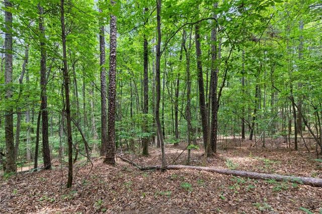 0 Terry Road, Fairburn, GA 30213