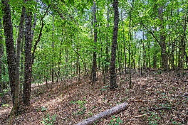 0 Terry Road, Fairburn, GA 30213