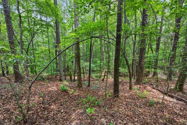 0 Terry Road, Fairburn, GA 30213