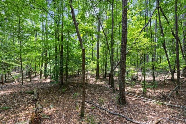 0 Terry Road, Fairburn, GA 30213
