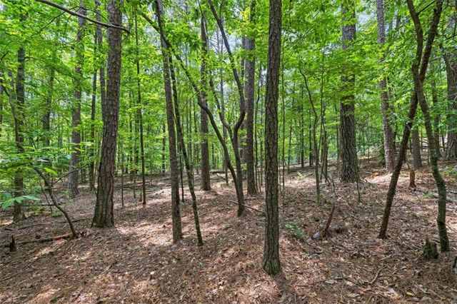 0 Terry Road, Fairburn, GA 30213