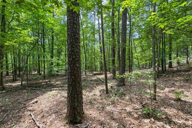 0 Terry Road, Fairburn, GA 30213
