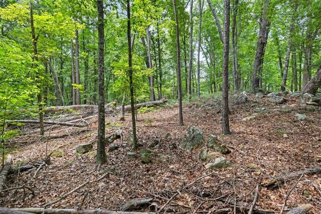 0 Terry Road, Fairburn, GA 30213
