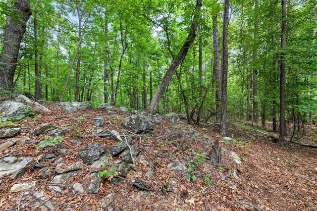 0 Terry Road, Fairburn, GA 30213