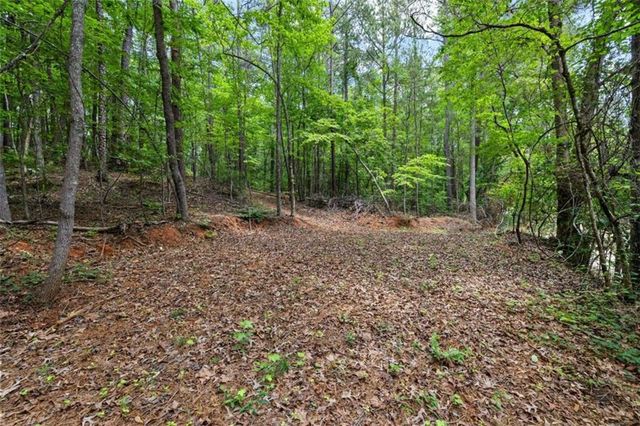 0 Terry Road, Fairburn, GA 30213