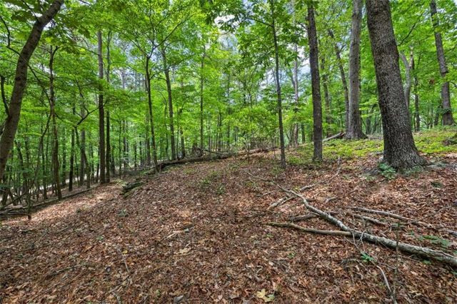 0 Terry Road, Fairburn, GA 30213