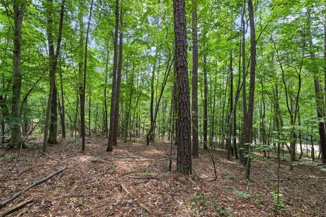 0 Terry Road, Fairburn, GA 30213