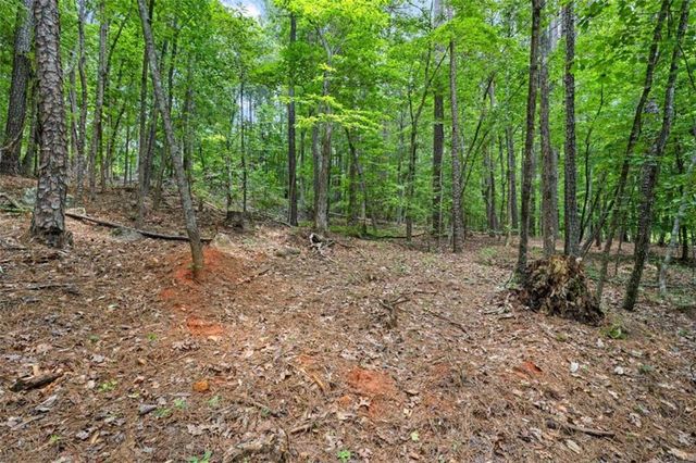 0 Terry Road, Fairburn, GA 30213