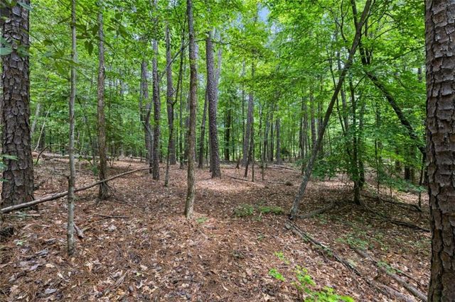 0 Terry Road, Fairburn, GA 30213