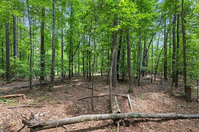 0 Terry Road, Fairburn, GA 30213