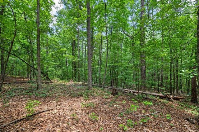 0 Terry Road, Fairburn, GA 30213