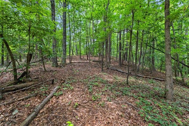 0 Terry Road, Fairburn, GA 30213